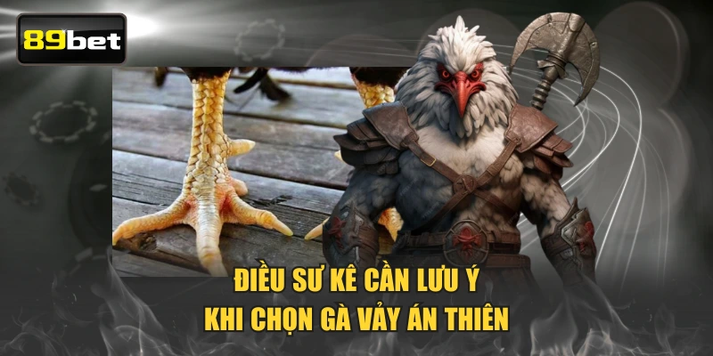 Điều sư kê cần lưu ý khi chọn gà Vảy Án Thiên