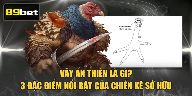 Vảy Án Thiên Là Gì? 3 Đặc Điểm Nổi Bật Của Chiến Kê Sở Hữu